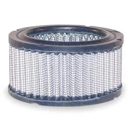 Solberg 30 - Element, Intake Filter 1