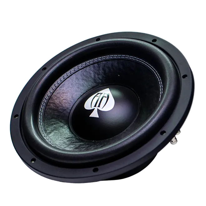 Audio Ace Bluff 12" 500W Rms Dual-4-Ohm Subwooofer 1