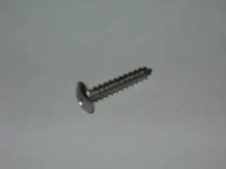 Screw, Sheet - Non Structural - Truss Head - #6 - 3/4" Ol - Pointed - Stainless 1