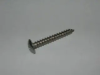 Screw, Sheet - Non Structural - Truss Head - #6 - 1" Ol - Pointed - Stainless 1