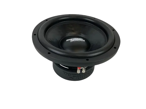 Resilient Sounds Entry V2 12" Dual 4 Ohm Subwoofer 1