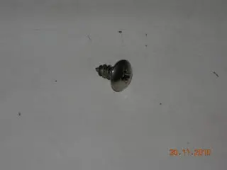 Screw, Sheet - Non Structural - Truss Head - #8 - 3/8" Ol - Pointed - Stainless 1