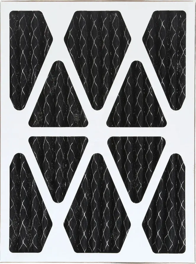 Amp-Dm900-0855 Carbon Pleated Pre-Filter 1