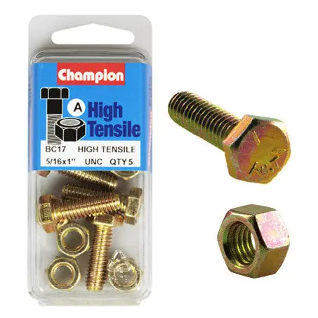 Champion Fully Threaded Set Screws And Nuts 1” X 5/16 Bc17 1