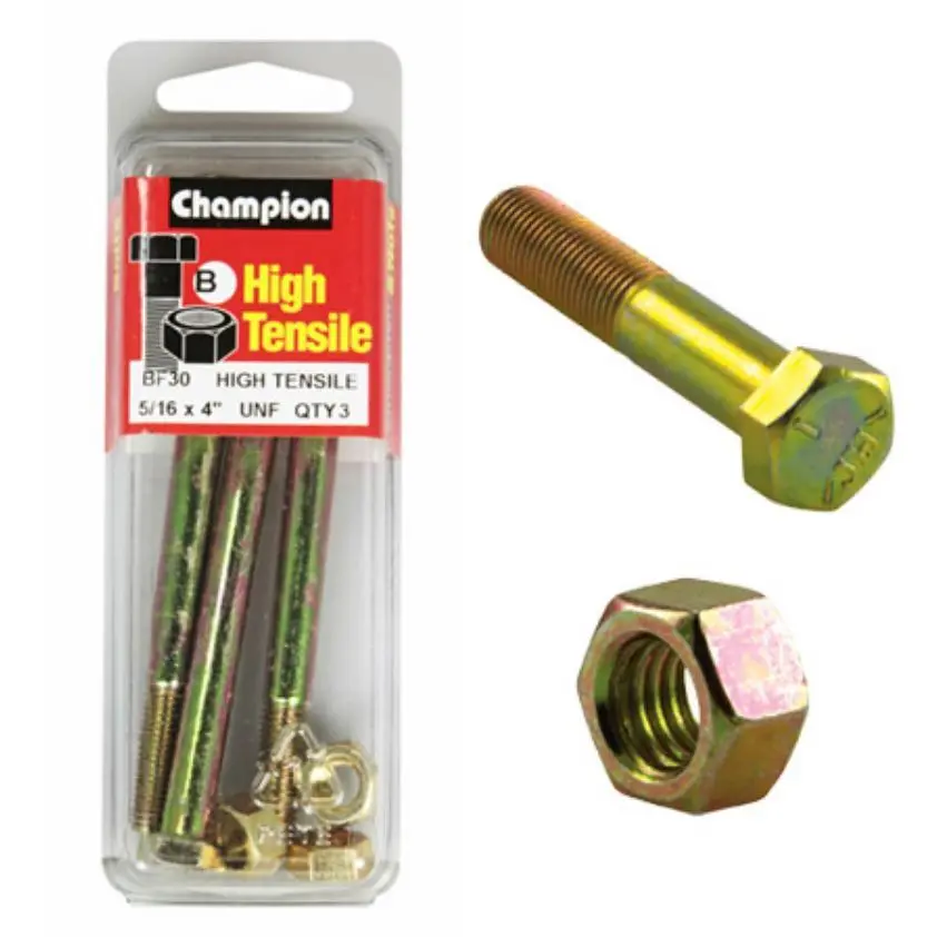 Champion Bolt And Nuts 4” X 5/16  Bf30 1