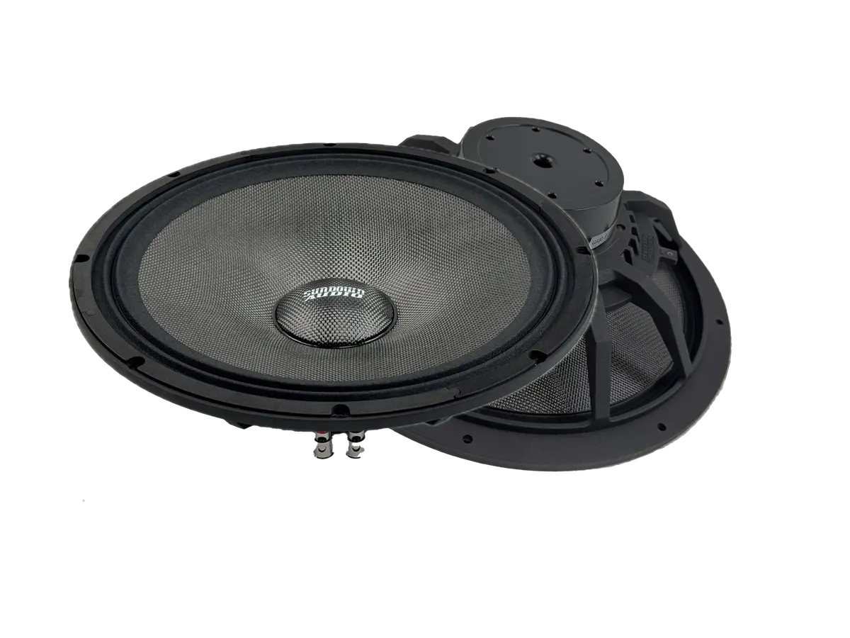 Neopro-12 V.4 12" Pro Audio Midrange Speaker 1