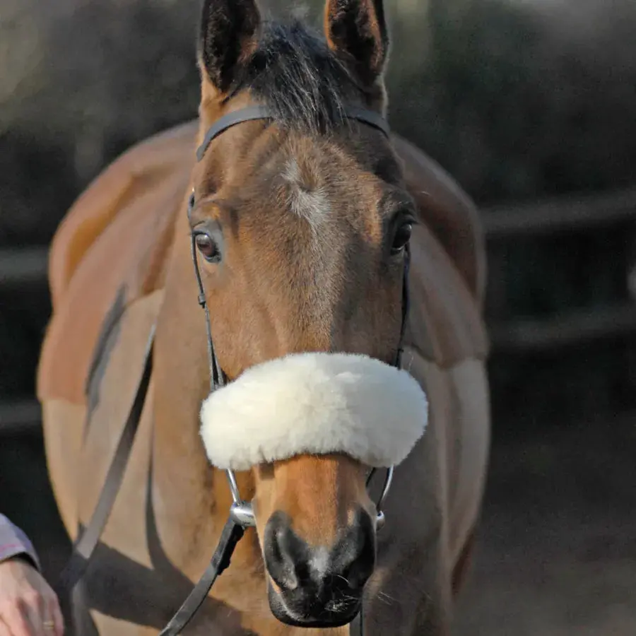 Nuumed Sheepskin Noseband Sleeve 1