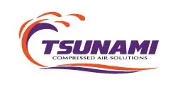 Tsunami -Timer Valve Assembly For 110V Dryer Pn: 21999-0941 1