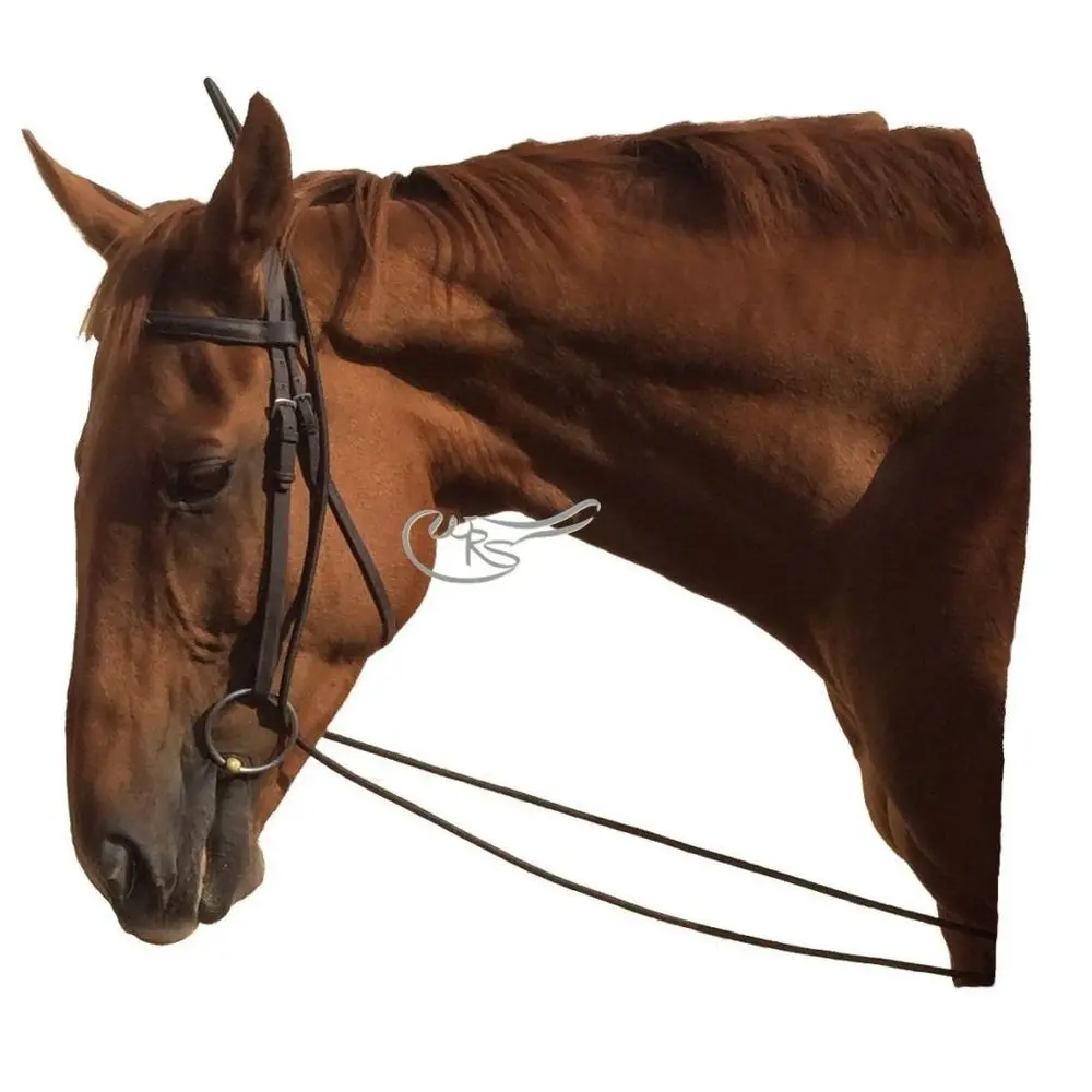 Ascot Bungee Training Aid 1