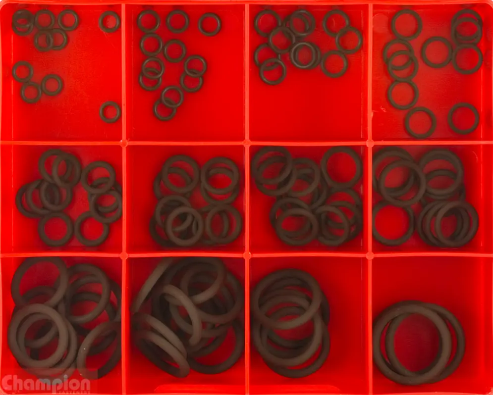 Champion Viton O Ring Assortment 12 Sizes 7/32”- 1” Ca118 1