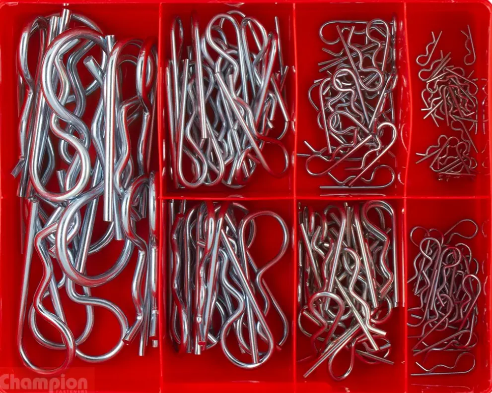 Champion R Clips Assortment Ca1745 1
