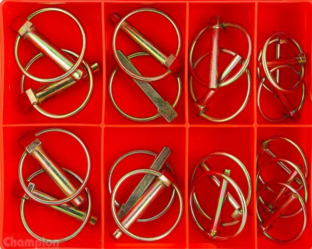Champion Lynch Pin Assortment Ca18 1