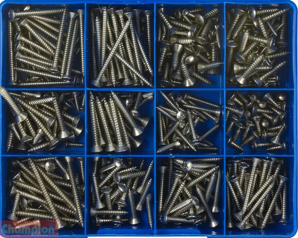 Champion S/Steel Metric Phillips Raised & Countersunk Self-Tapping Screw Assortment Ca1884 1
