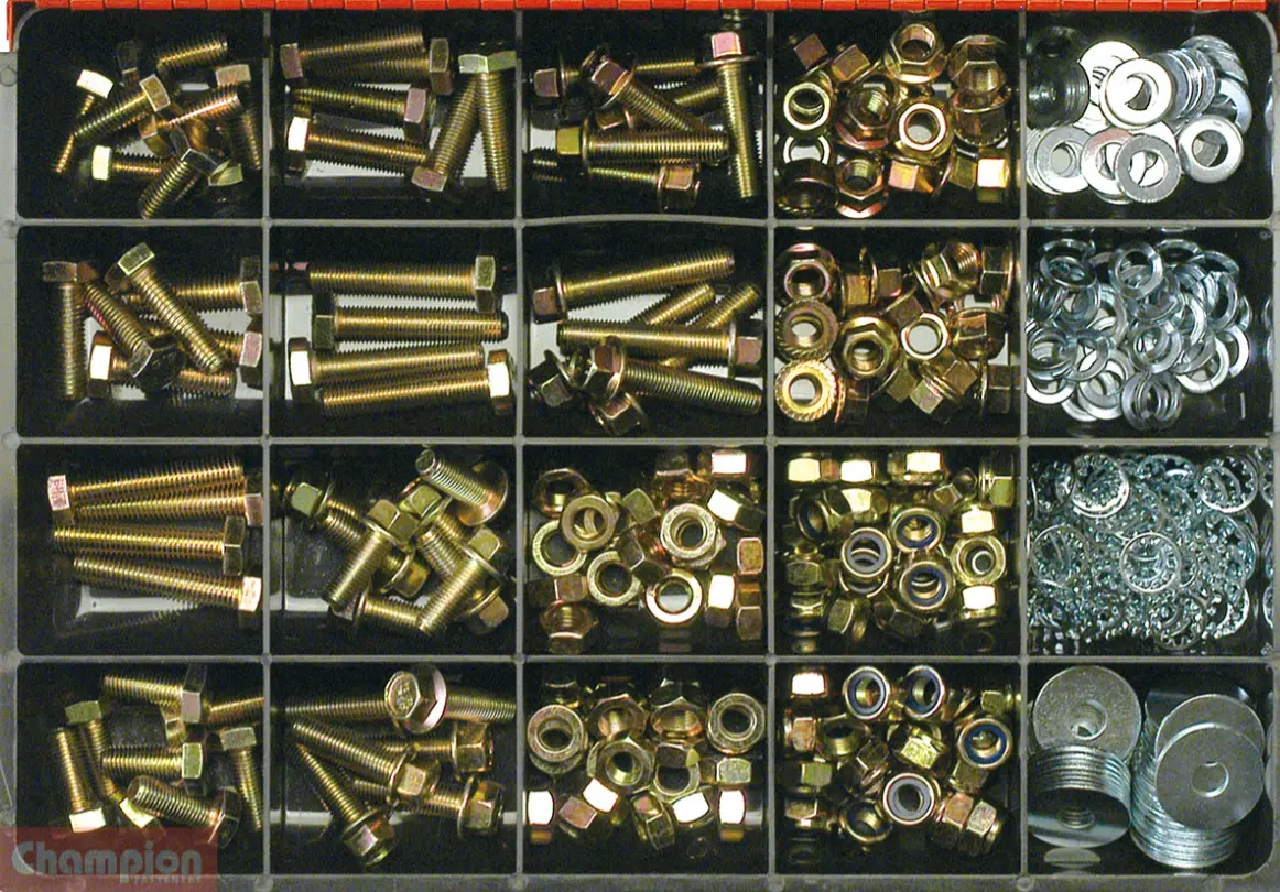 Champion 10Mm Fastener Master Kit 21 Sizes: 10Mm, Lengths: 25Mm To 50Mm Ca2210 1
