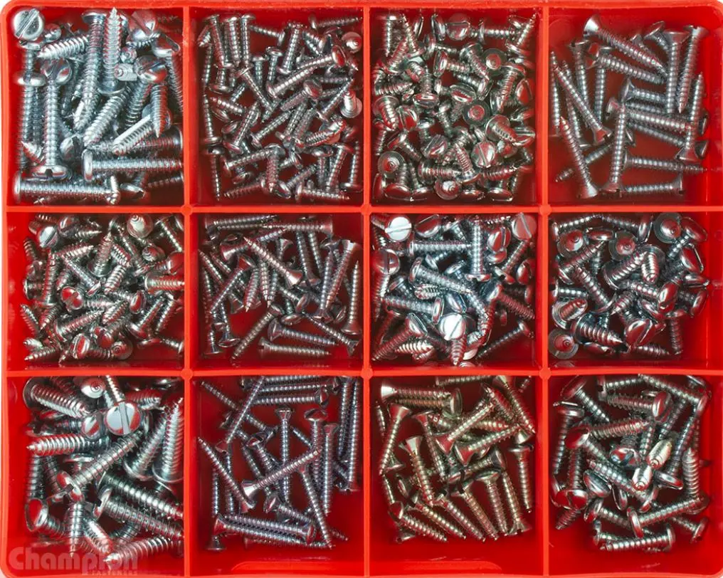 Champion Slotted Self-Tapping Screw Assortment Ca420 1