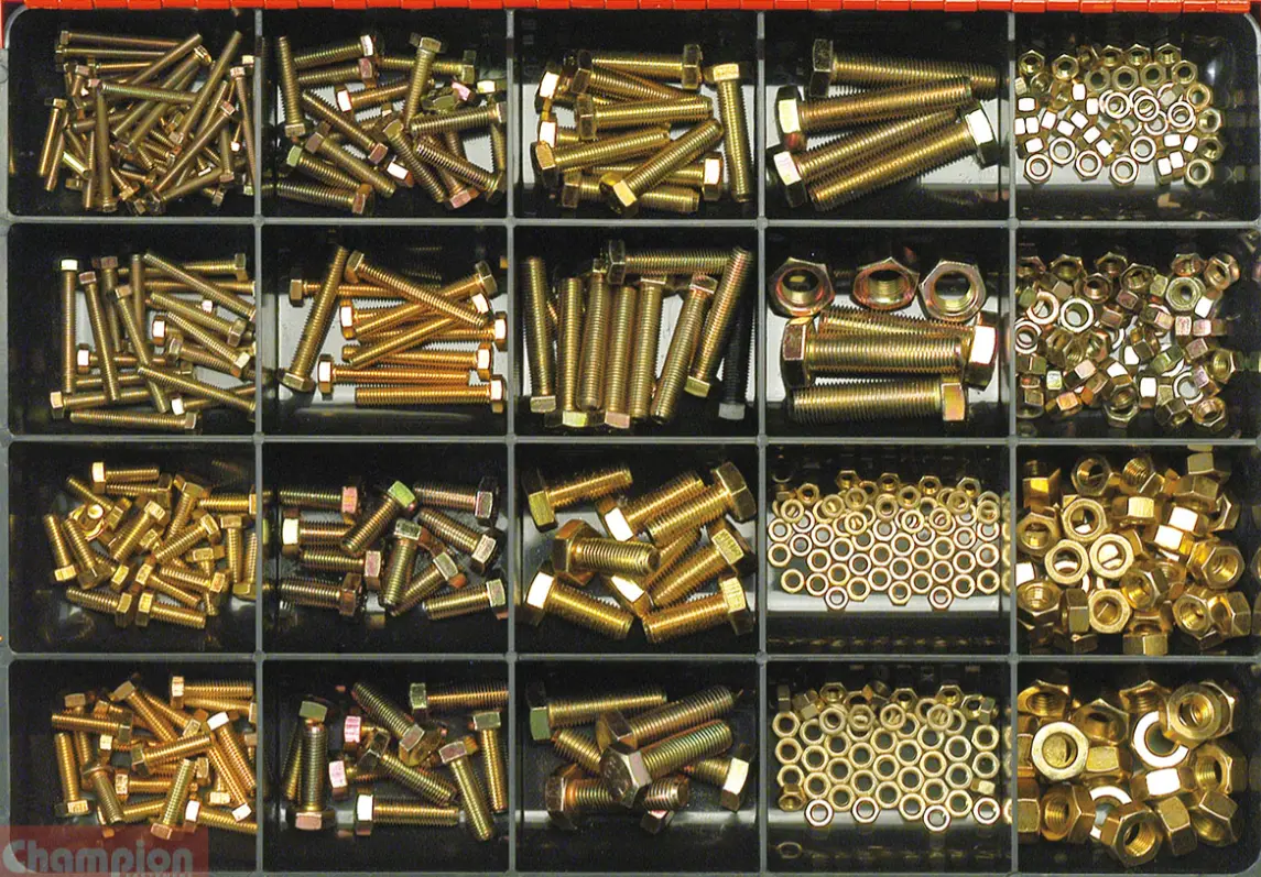 Champion Fine Metric Set Screw & Nut Master Kit 17 Sizes: M4 To M12 Dia.Ca480 1