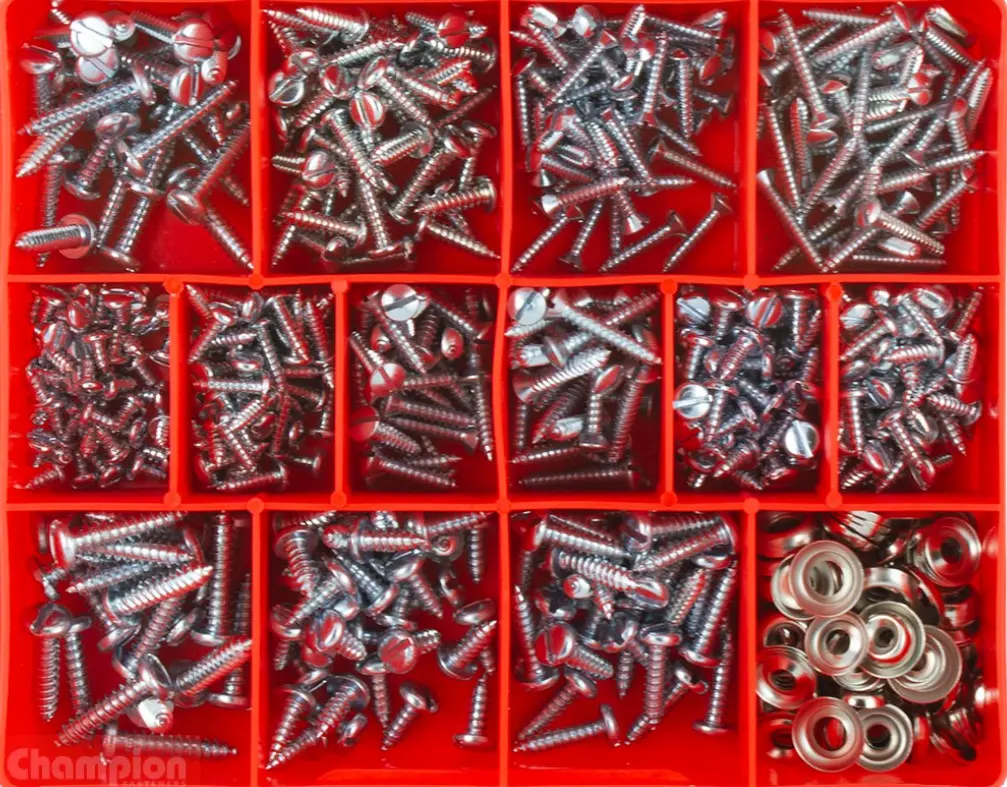 Champion Zinc Self-Tapping Screw Assortment Ca550 1