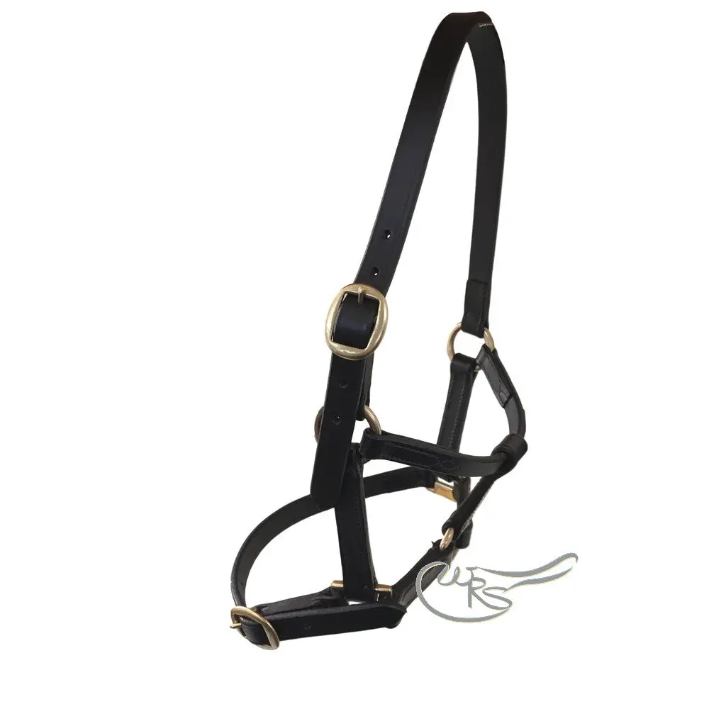 Leather Foal Headcollar 1