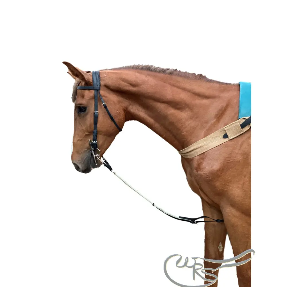 Wrs French Elastic Training Aid 1