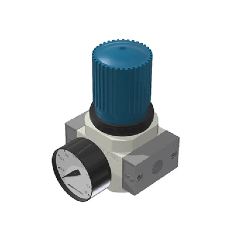 Lr-Mini-N14 1/4” Regulator 1