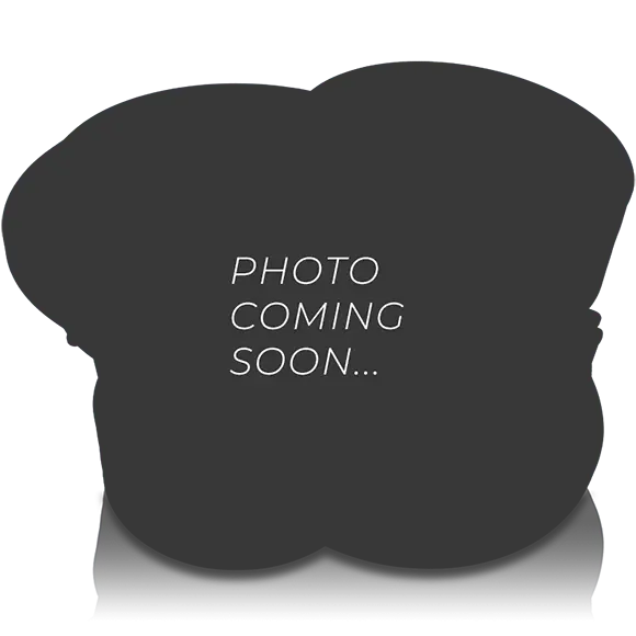 Nightshade Ns-Series Ns5 12" 3000W Subwoofer Ns V.5 *Used* 1