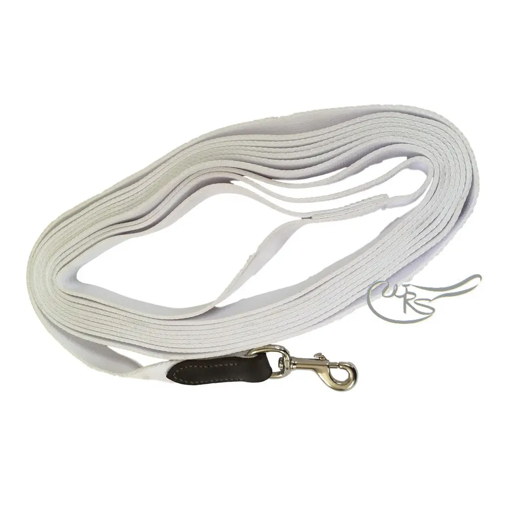 Wrs Lunge Line 1" Web With Clip 1