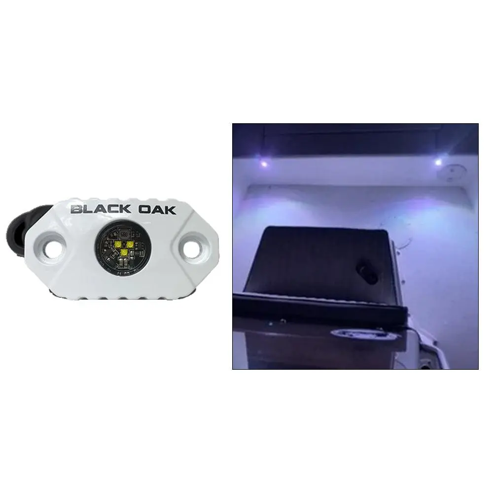 Black Oak Rock Accent Light - White Leds - White Housing [Mal-W] 1